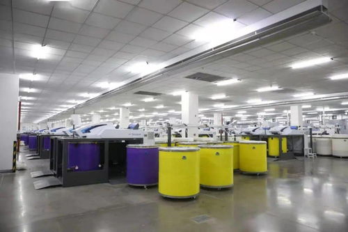 天之華集團獲授國家渦流紡紗線產(chǎn)品開發(fā)基地，推動紡織產(chǎn)業(yè)創(chuàng)新升級